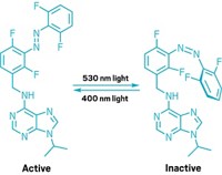 Serving the chemical, life science, and laboratory worlds
