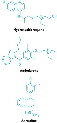 Serving the chemical, life science, and laboratory worlds