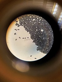 Serving the chemical, life science, and laboratory worlds