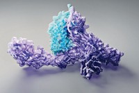 Serving the chemical, life science, and laboratory worlds