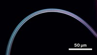 Serving the chemical, life science, and laboratory worlds