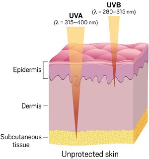 Uva protection store sunscreen