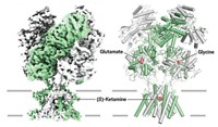 Serving the chemical, life science, and laboratory worlds