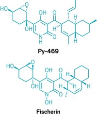 Serving the chemical, life science, and laboratory worlds