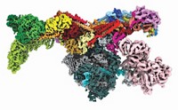 Serving the chemical, life science, and laboratory worlds