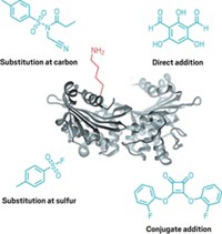 Serving the chemical, life science, and laboratory worlds