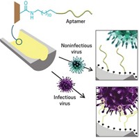 Serving the chemical, life science, and laboratory worlds