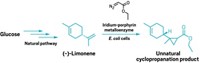 Serving the chemical, life science, and laboratory worlds