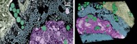 Serving the chemical, life science, and laboratory worlds