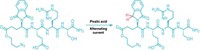 Serving the chemical, life science, and laboratory worlds