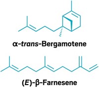 Serving the chemical, life science, and laboratory worlds
