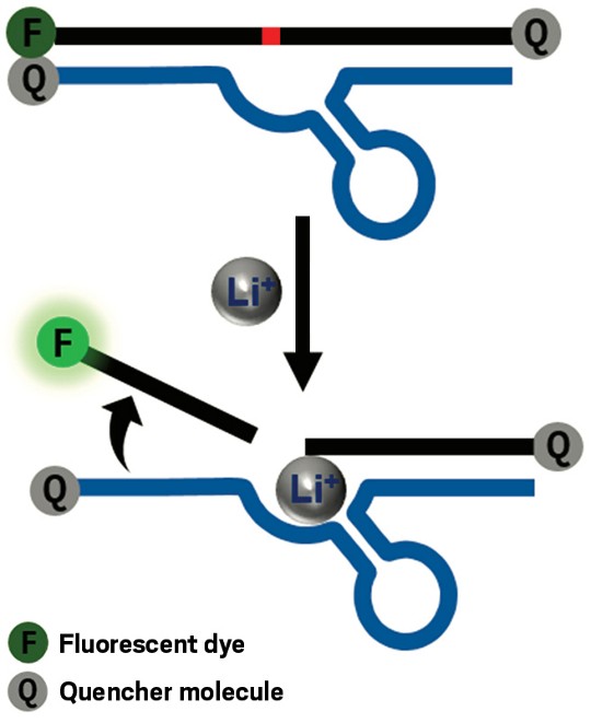 November 29, 2021 Issue  Chemical & Engineering News