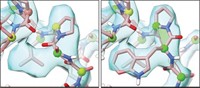 Serving the chemical, life science, and laboratory worlds