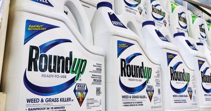 Safe Roundup Alternatives  Killing Weeds Without Glyphosate