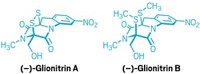 Serving the chemical, life science, and laboratory worlds