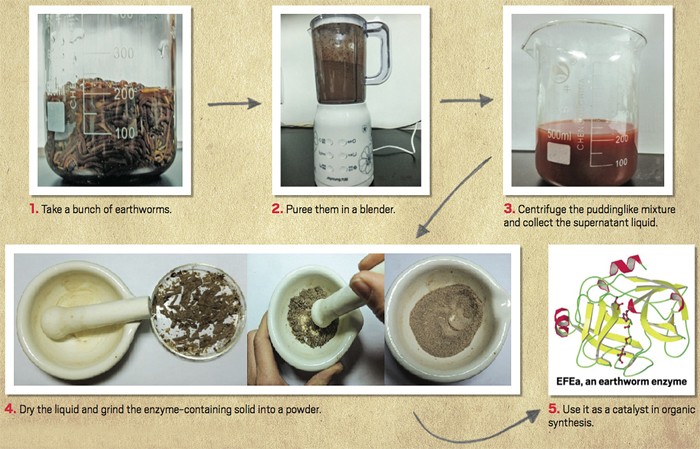 Enzyme Examples In Everyday Life Biocatalysis | Nature Reviews Methods