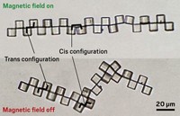 Serving the chemical, life science, and laboratory worlds