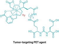 Serving the chemical, life science, and laboratory worlds