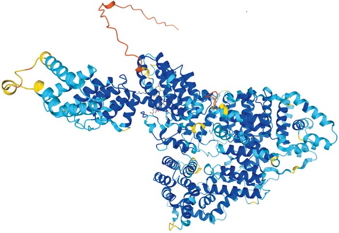 A predicted protein structure.