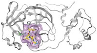 Serving the chemical, life science, and laboratory worlds