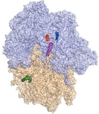 Serving the chemical, life science, and laboratory worlds