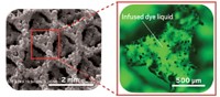 Serving the chemical, life science, and laboratory worlds
