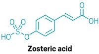 Low-cost polyurethane sponge cleans oil spills