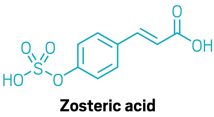 Cysbio pitches zosteric acid as paint antifoulant