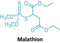 Serving the chemical, life science, and laboratory worlds