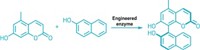 Serving the chemical, life science, and laboratory worlds