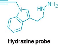 Serving the chemical, life science, and laboratory worlds