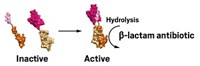 Serving the chemical, life science, and laboratory worlds