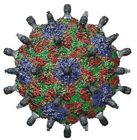 Serving the chemical, life science, and laboratory worlds