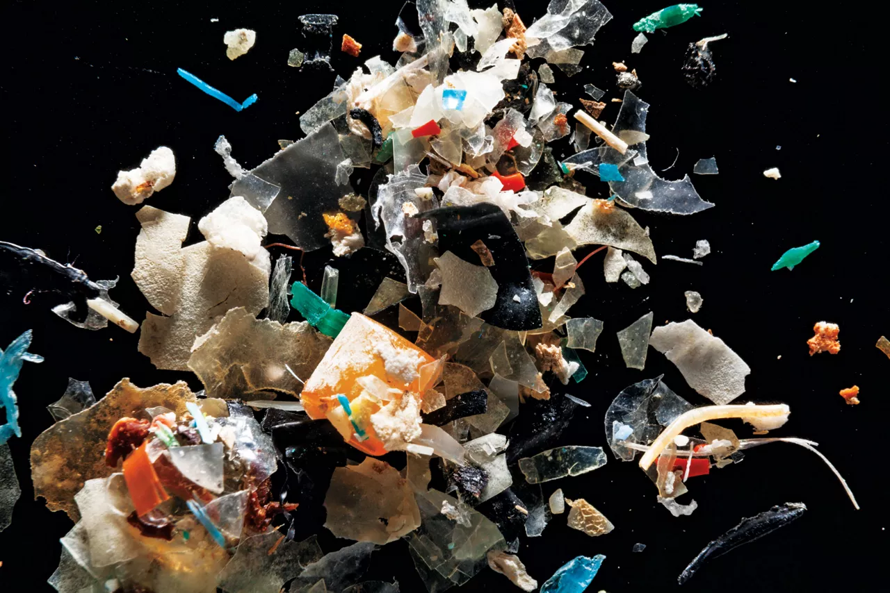 Getting a grip on microplastics’ risks