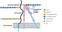 Serving the chemical, life science, and laboratory worlds