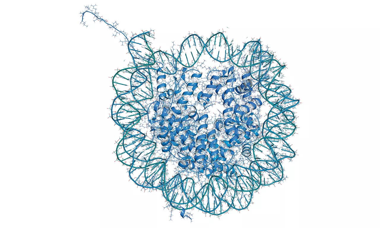 Expanding the histone code