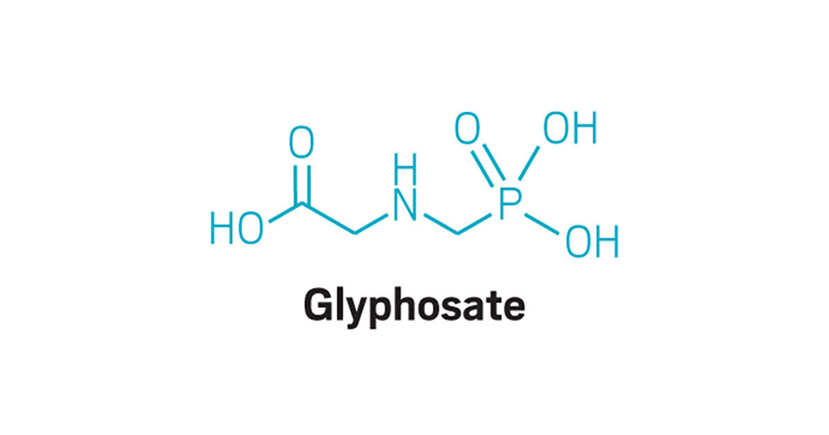 Health and Environment Alliance  Scientific evidence of glyphosate link to  cancer dismissed in ongoing EU assessment, new report reveals