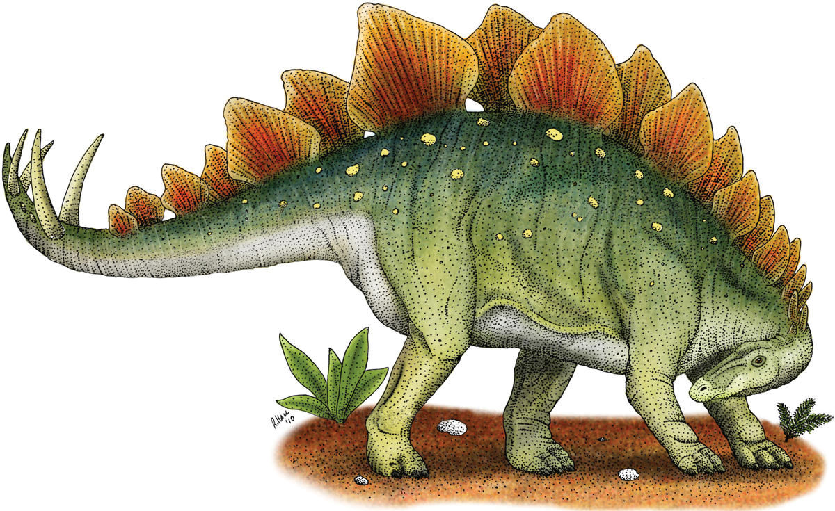 dinosaurs stegosaurus