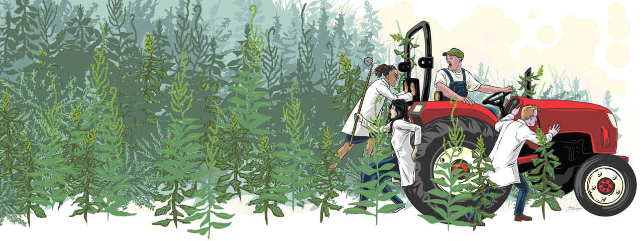 Following several fallow decades, herbicide companies are 