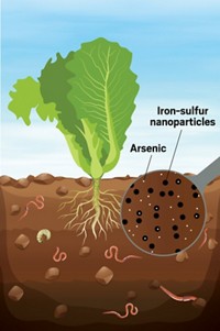 Serving the chemical, life science, and laboratory worlds