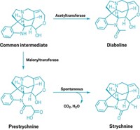 Serving the chemical, life science, and laboratory worlds