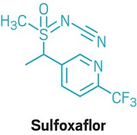 Serving the chemical, life science, and laboratory worlds