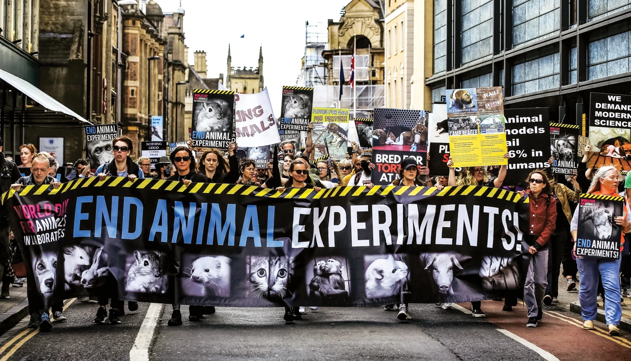 Can Europe replace animal testing of chemicals?
