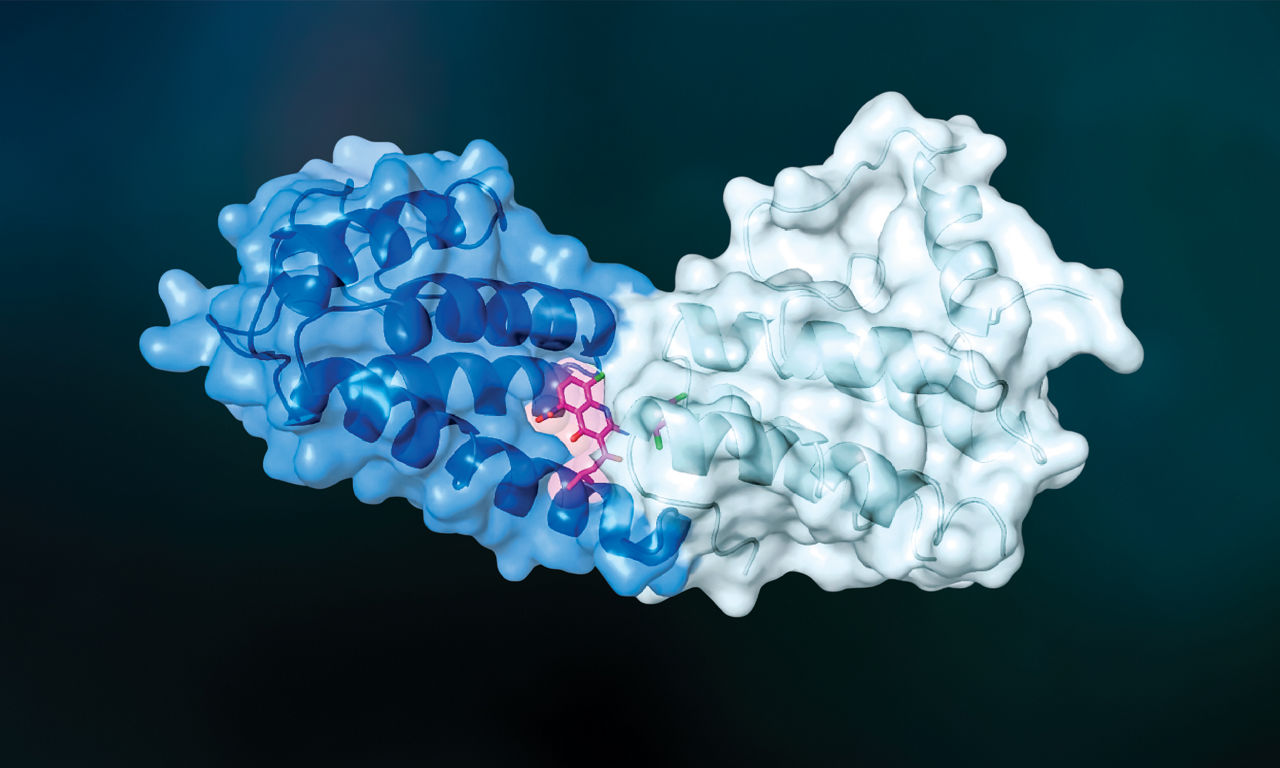 Molecular Glues Are Beginning To Stick