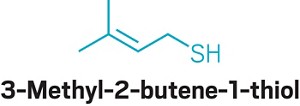 Chemical structure of 3-methyl-2-butene-1-thiol.