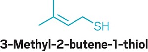 Chemical structure of 3-methyl-2-butene-1-thiol.