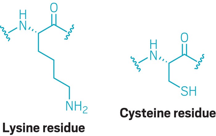 Лизин что это и для чего. Лизин структура. Lysine structure. Amino acid structure. Лизин PH.