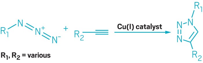 Click chemistry - Scripps Research Magazine