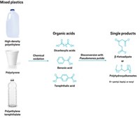 Serving the chemical, life science, and laboratory worlds