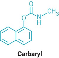 Serving the chemical, life science, and laboratory worlds